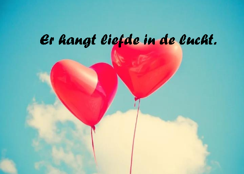 230112 Dkeamer Valentijnsdag