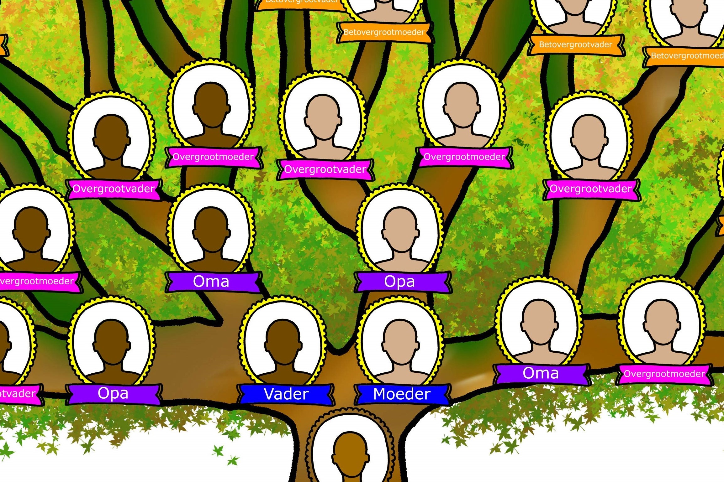 Stamboom F voorbeeld