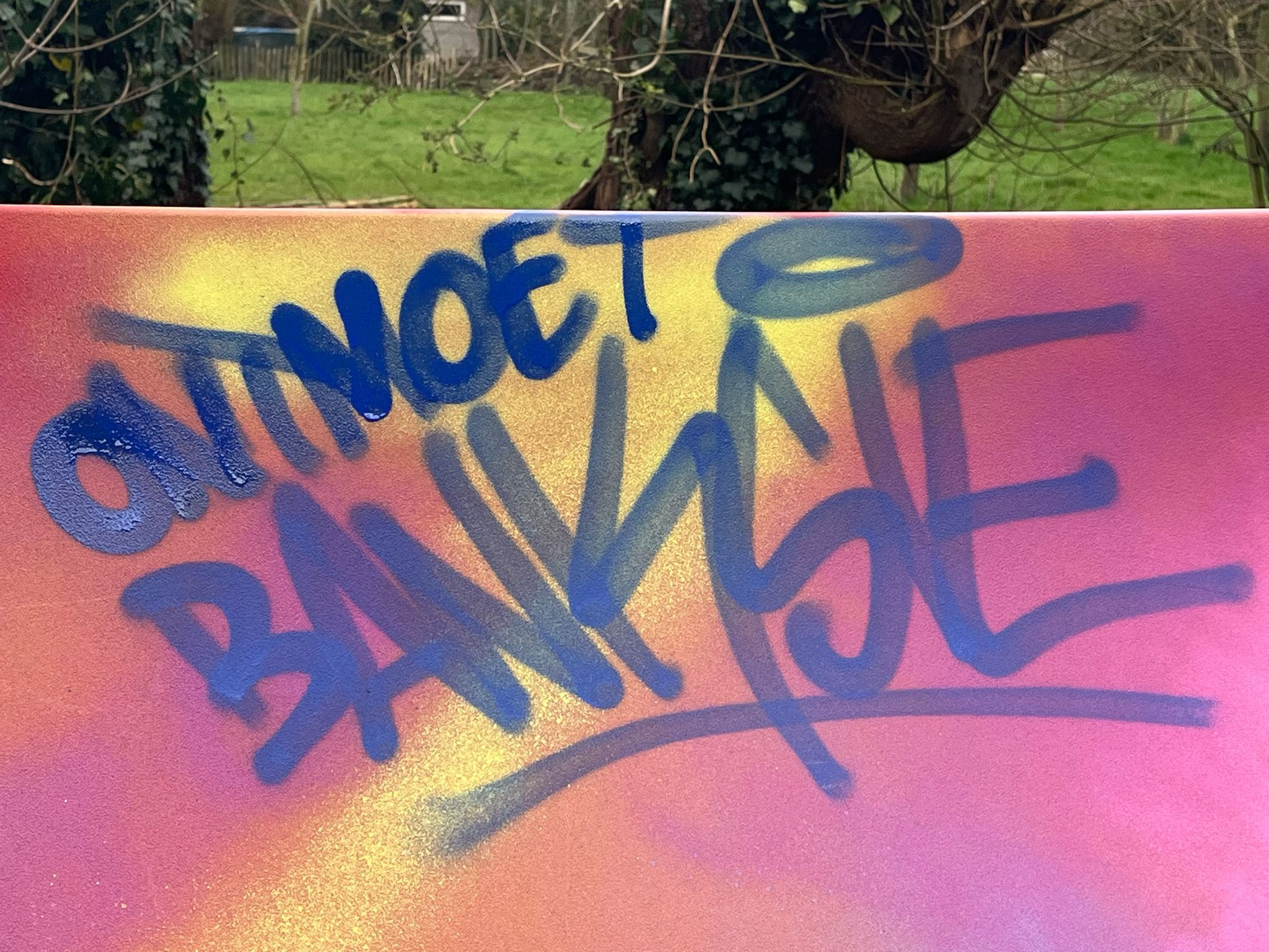 PHOTO 2024 03 15 16 21 24 2