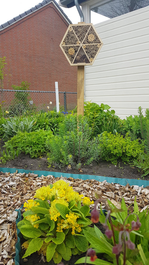 20210510 Insectenhotel 500