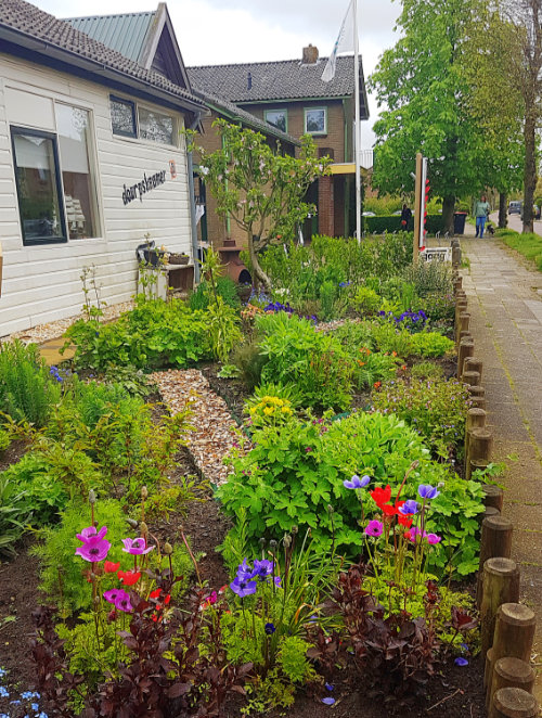 20210510 Tuin doarpskeamer 500