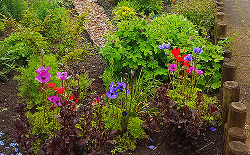 20210510 Tuin doarpskeamer liggend 500