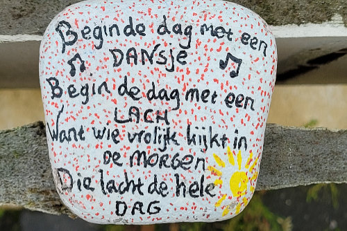 Een lawine aan fraai beschilderde Happy Stones kwam zaterdag 5 juni 2021 langs op de Lange Miente in Akkrum. De tafels van Doarpskeamer Akkrum-Nes lagen vol met kleurrijke werkjes, niet alleen schilderingen maar ook met stiften gekleurd en sommigen met heel fraaie teksten of zelfs complete gedichten.