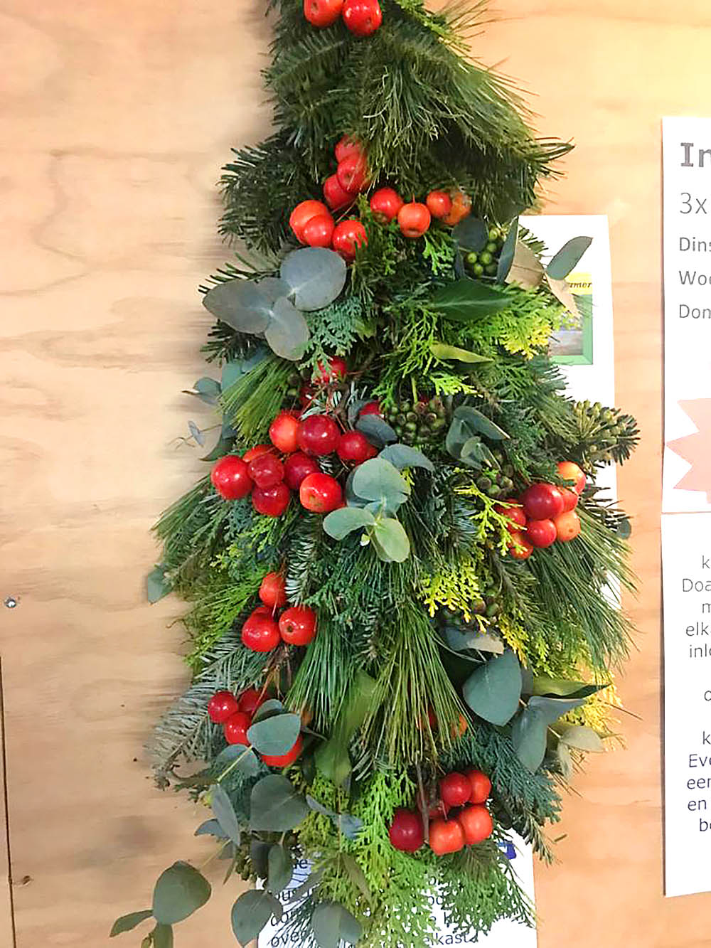 221207 Akkrum doarpskeamer kryststikje